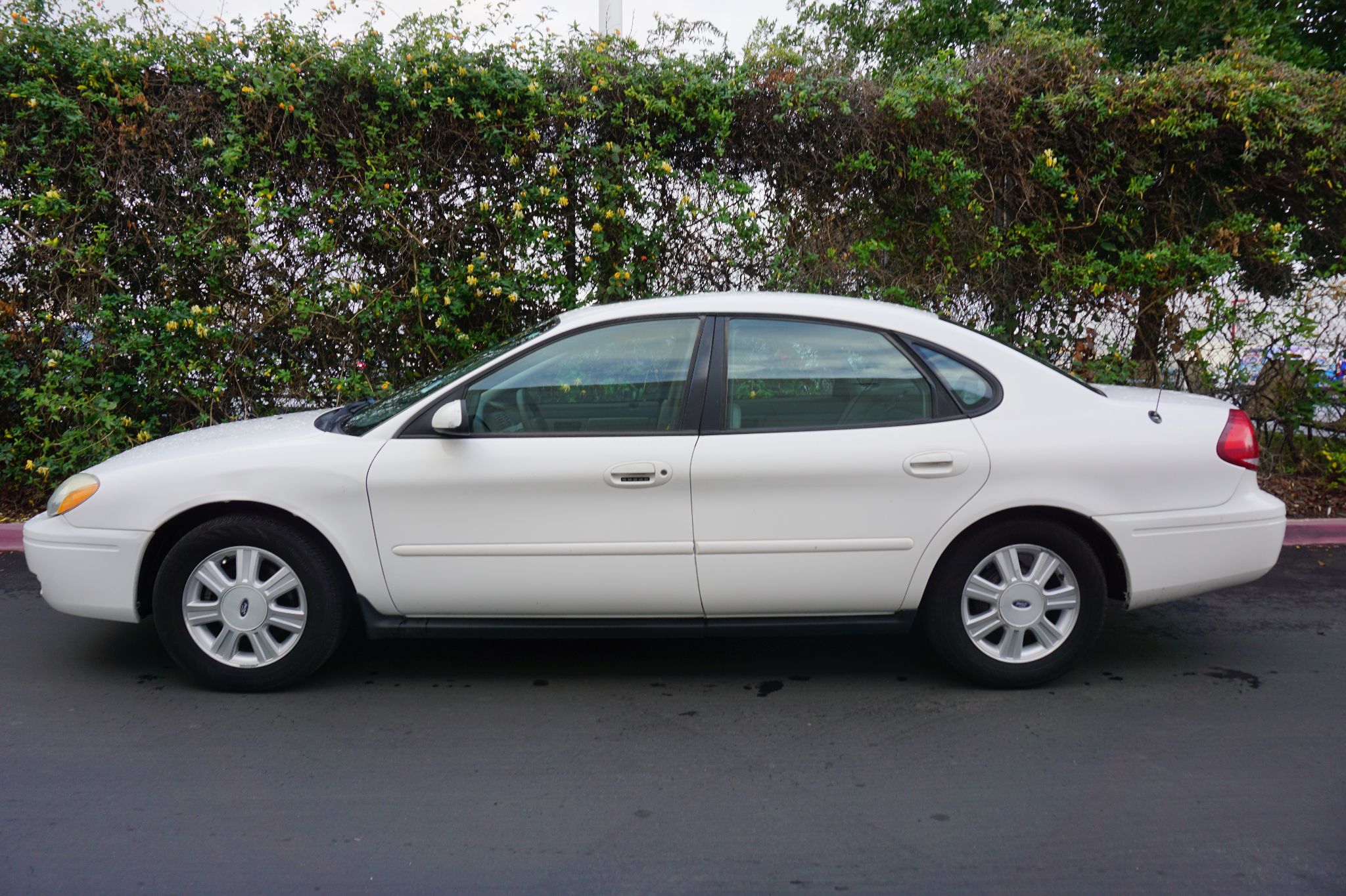 Used 2006 Ford Taurus SEL at City Cars Warehouse Inc