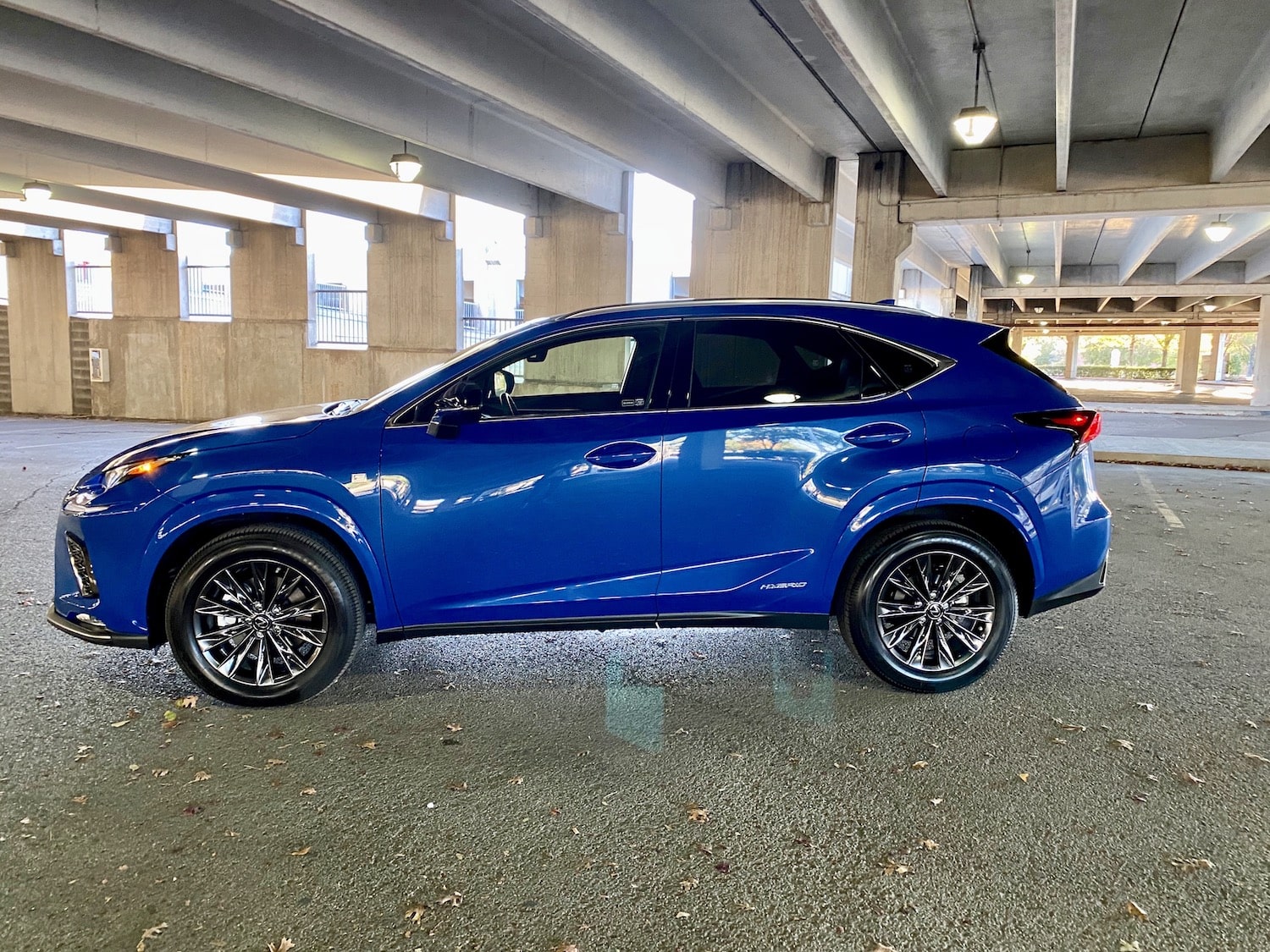 2021 Lexus NX 300h F Sport Black Line Special Edition Review