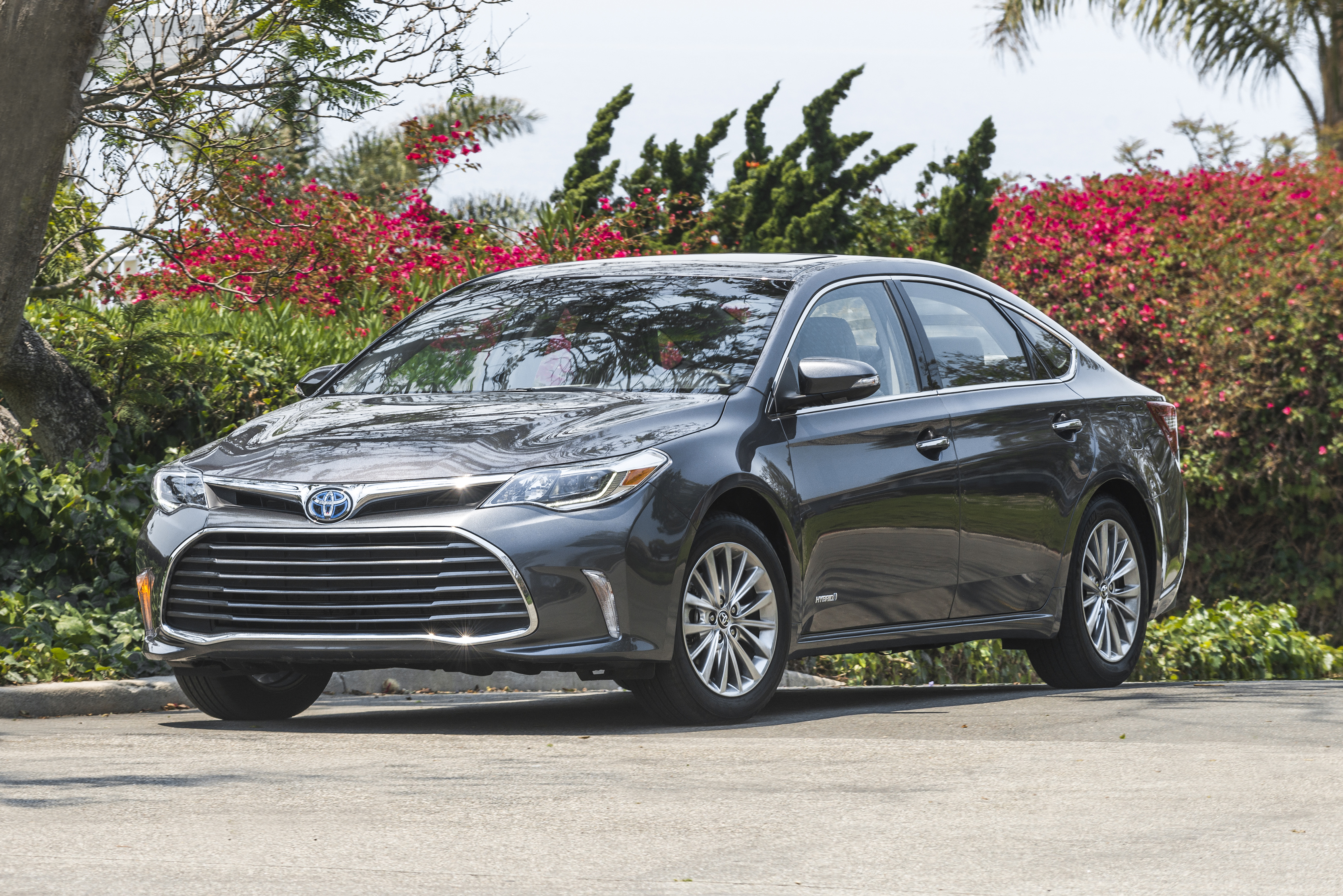 TOP-DOG TOYOTA: Near-luxury 2017 Avalon Hybrid Limited indulges with  family-size space, exemplary road behavior and superb fuel economy -  Albuquerque Journal
