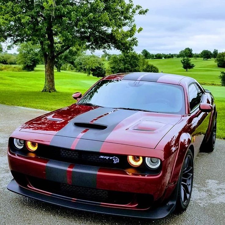 Dodge Challenger SRT Hellcat (2018) @chris_in_nc #dodge #srt # dodgechallenger #dodgechallengersrt #challengersrt… | Muscle cars, Super  luxury cars, Dodge challenger