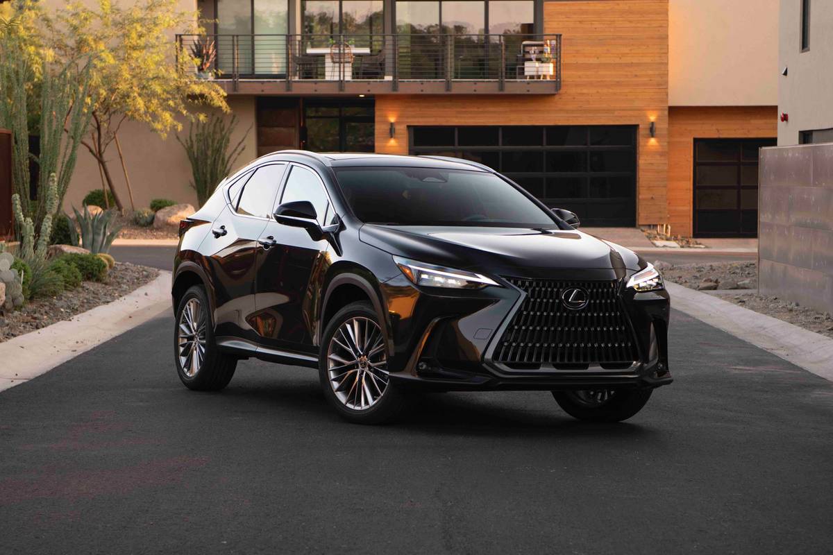 2024 Lexus NX Lineup Gets Light Updates for New Model Year, Starts at  $40,205 | Cars.com