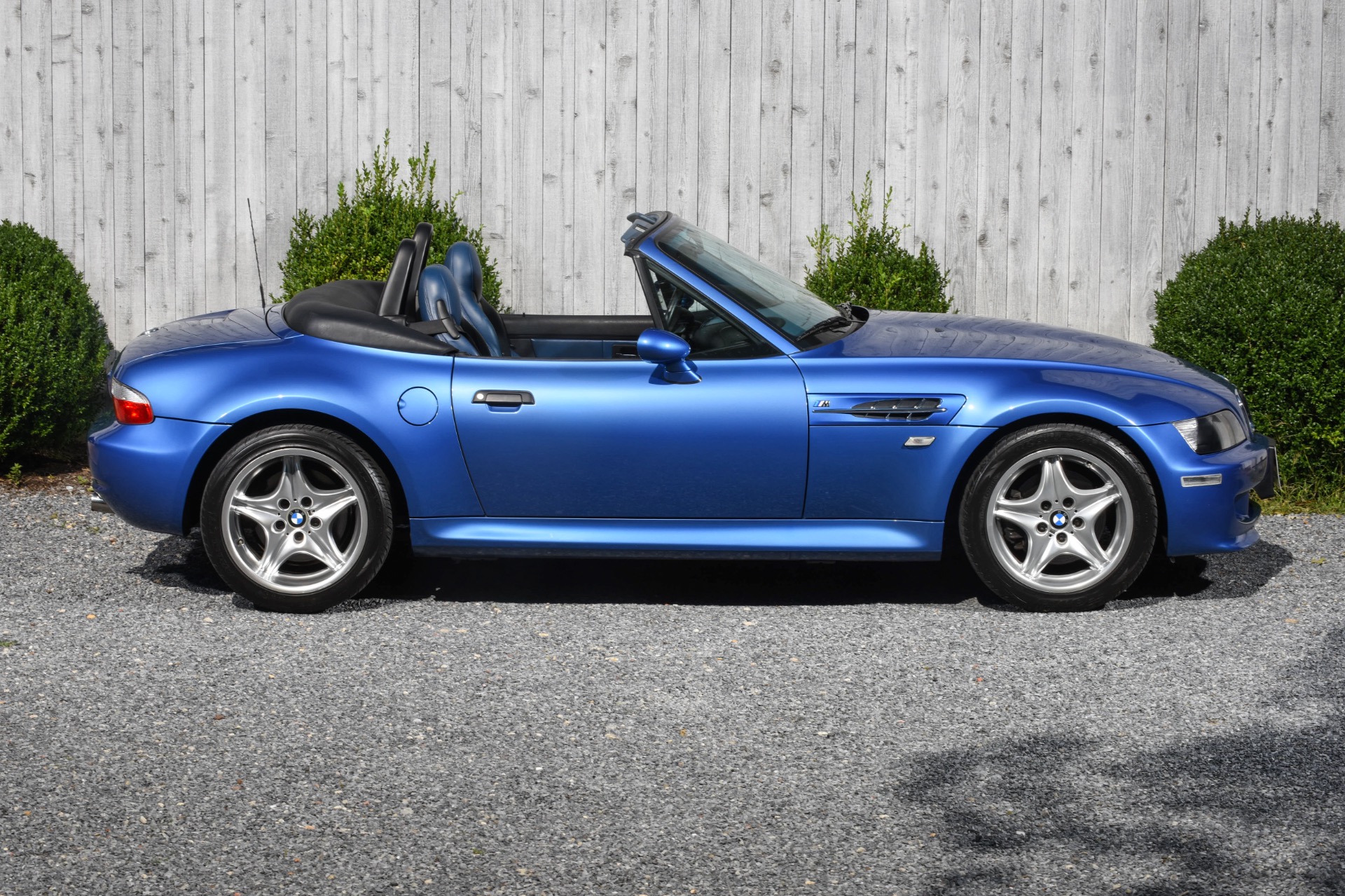 Used 1999 BMW M Roadster For Sale (Sold) | Ryan Friedman Motor Cars LLC  Stock #53