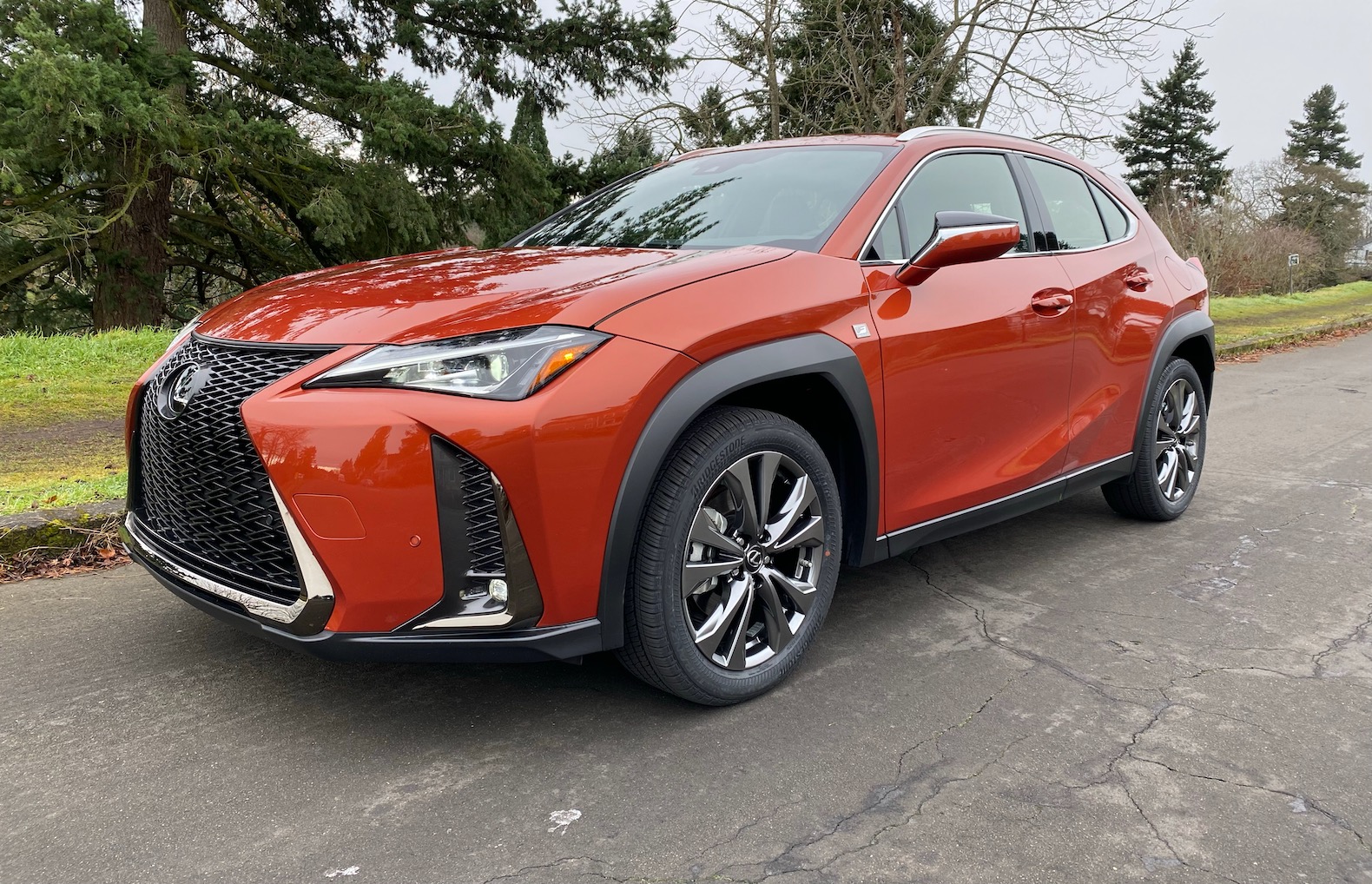 2019 Lexus UX 200 Review: A luxurious urban crossover - The Torque Report