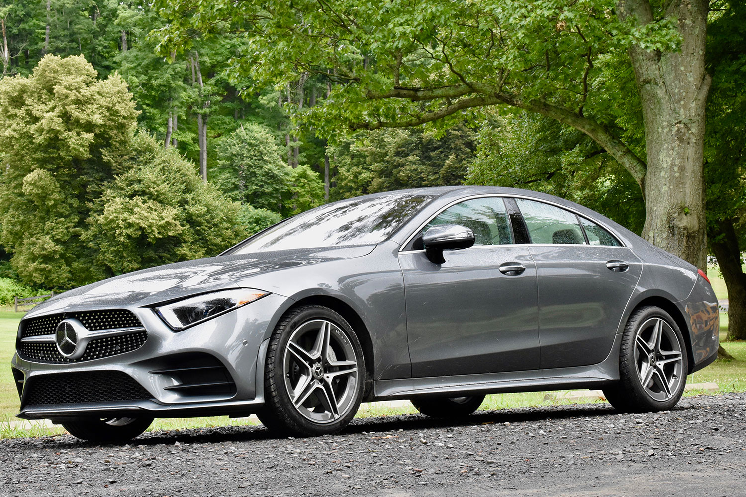 2019 Mercedes-Benz CLS450 4Matic First Drive Review | Digital Trends