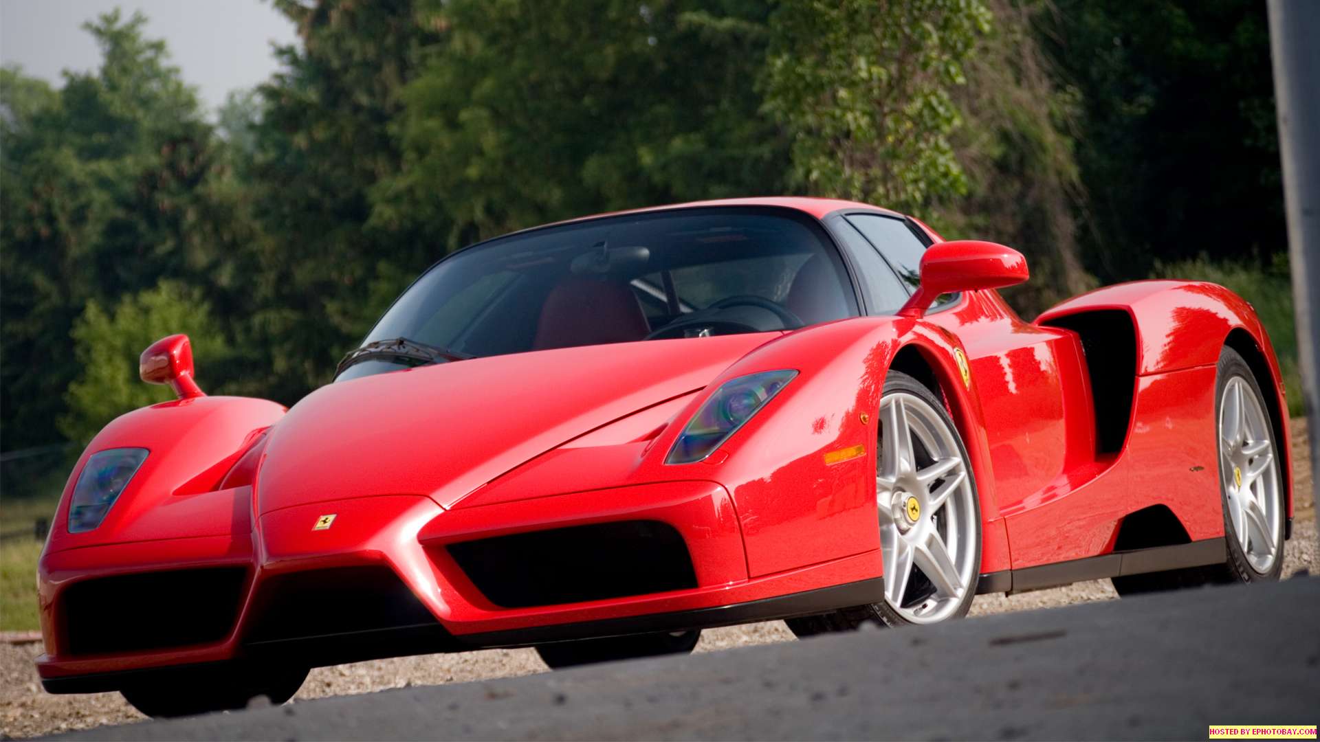 Ferrari Enzo - The Ultimate Guide | Supercars.net