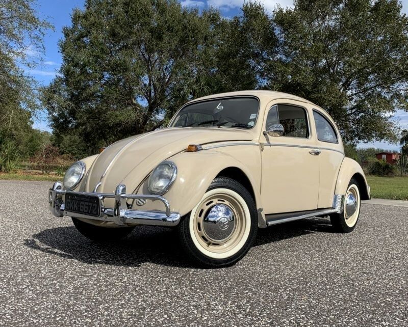 1969 Volkswagen Beetle For Sale - Carsforsale.com®