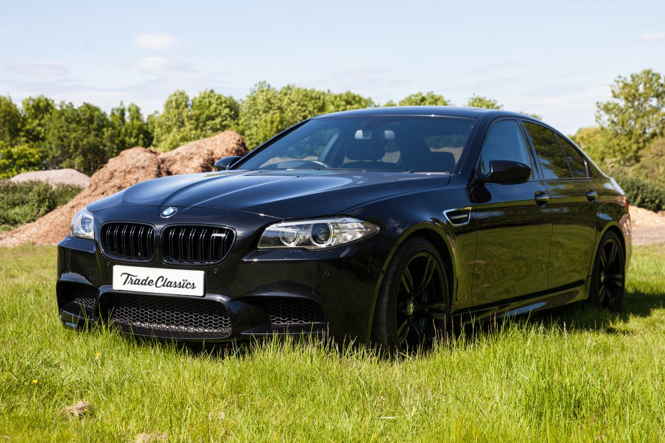 2015 BMW M5 (F10) |