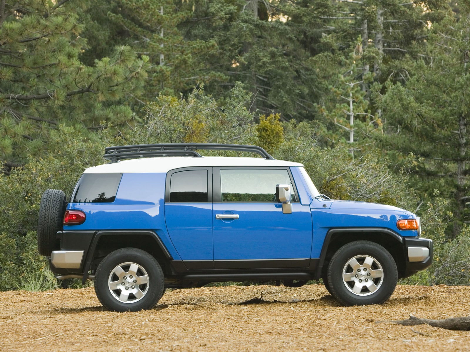 2009 Toyota FJ Cruiser