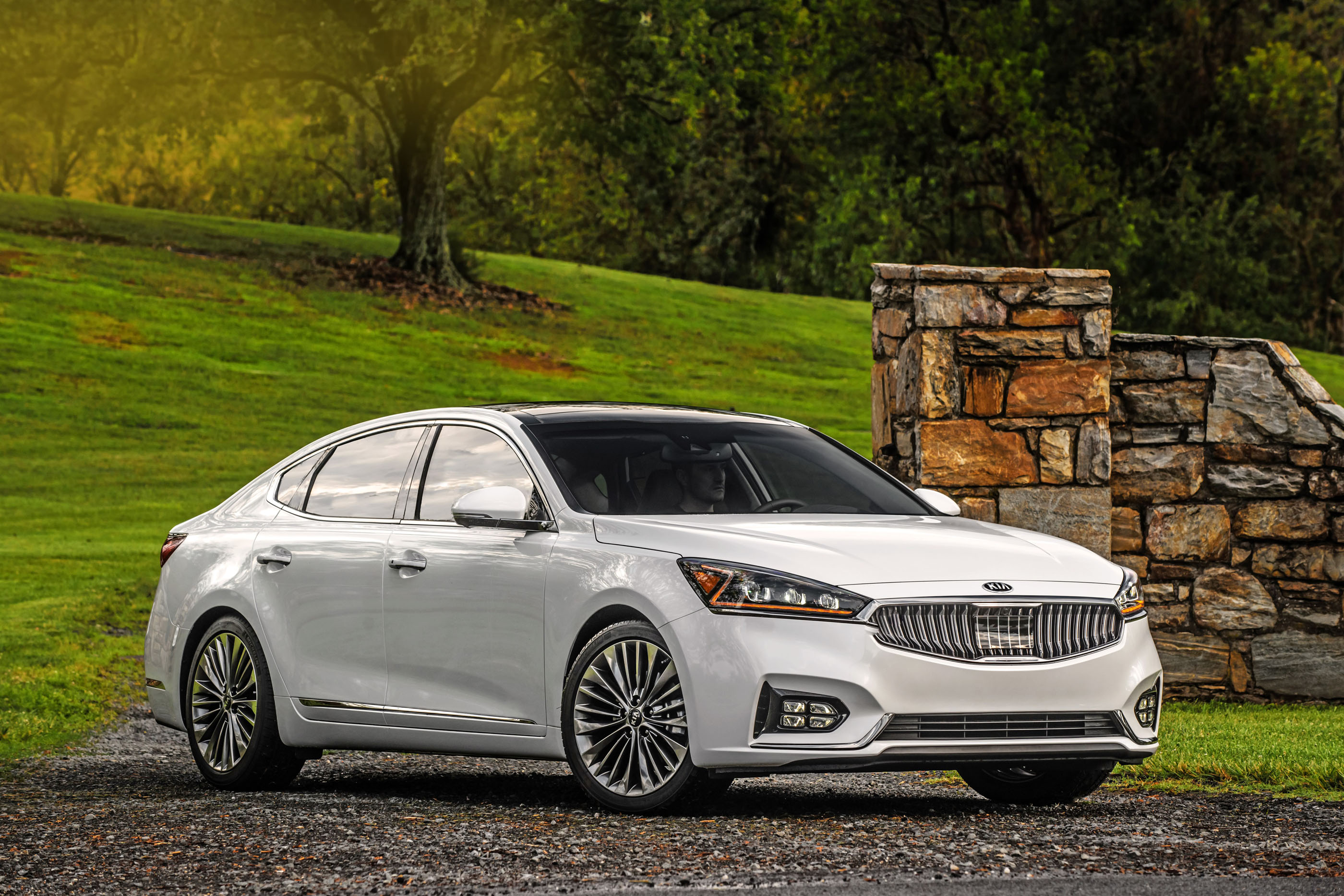 2017 Kia Cadenza Review, Ratings, Specs, Prices, and Photos - The Car  Connection