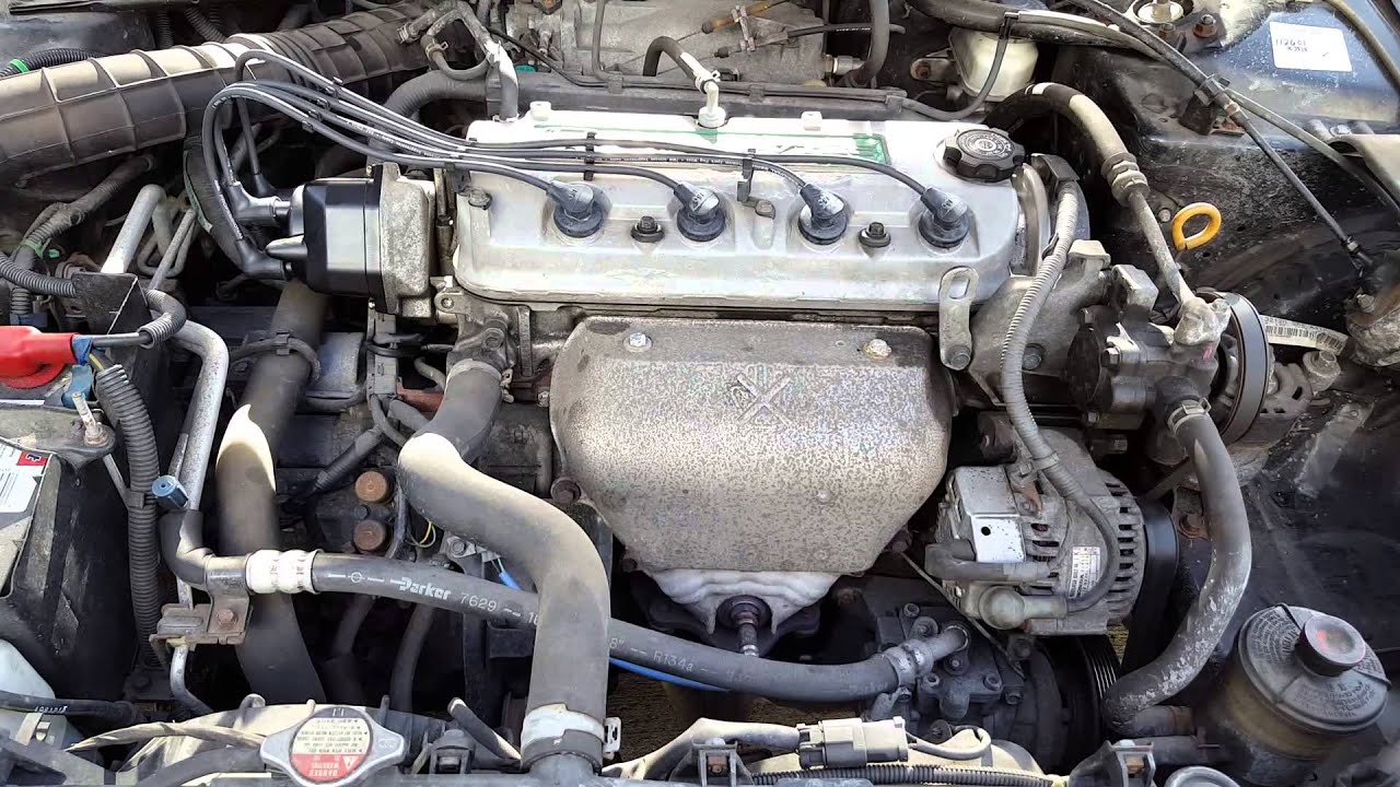 1999 Honda Accord 2.3L ULEV-VTEC Engine - YouTube