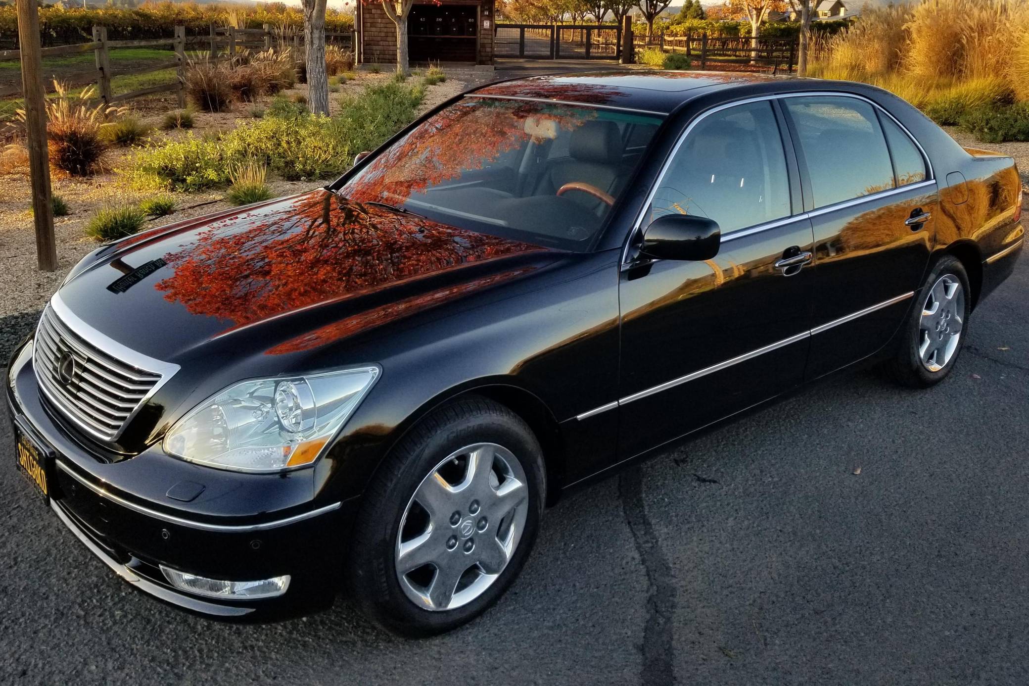 2004 Lexus LS 430 for Sale - Cars & Bids