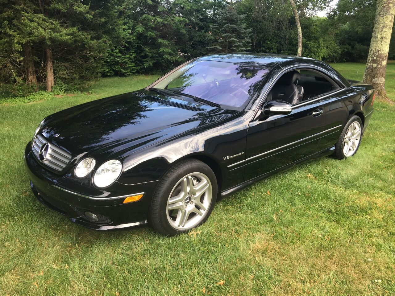 2004 Mercedes-Benz CL-Class For Sale - Carsforsale.com®