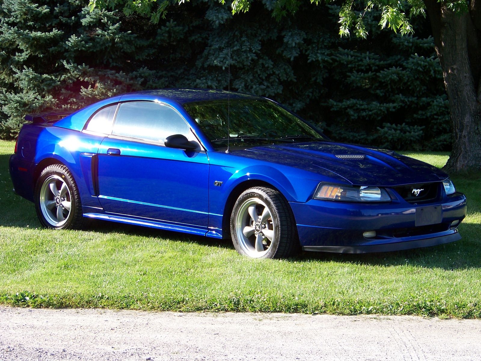 Well Kept 2002 Ford Mustang | 2002 ford mustang, 2002 ford mustang gt, Ford  sports cars