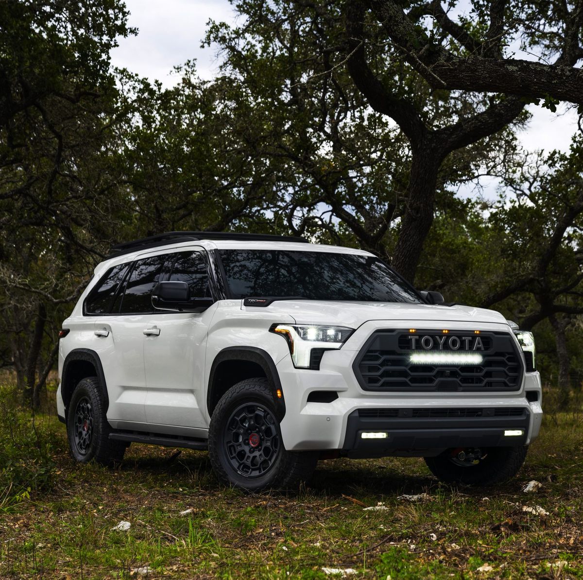 2023 Toyota Sequoia: Everything You Need to Know