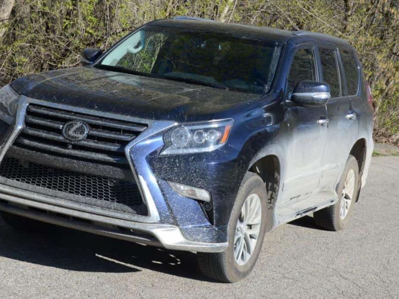 5 Reasons Why the 2019 Lexus GX460 is a Great Year-Round Daily Driver |  Torque News